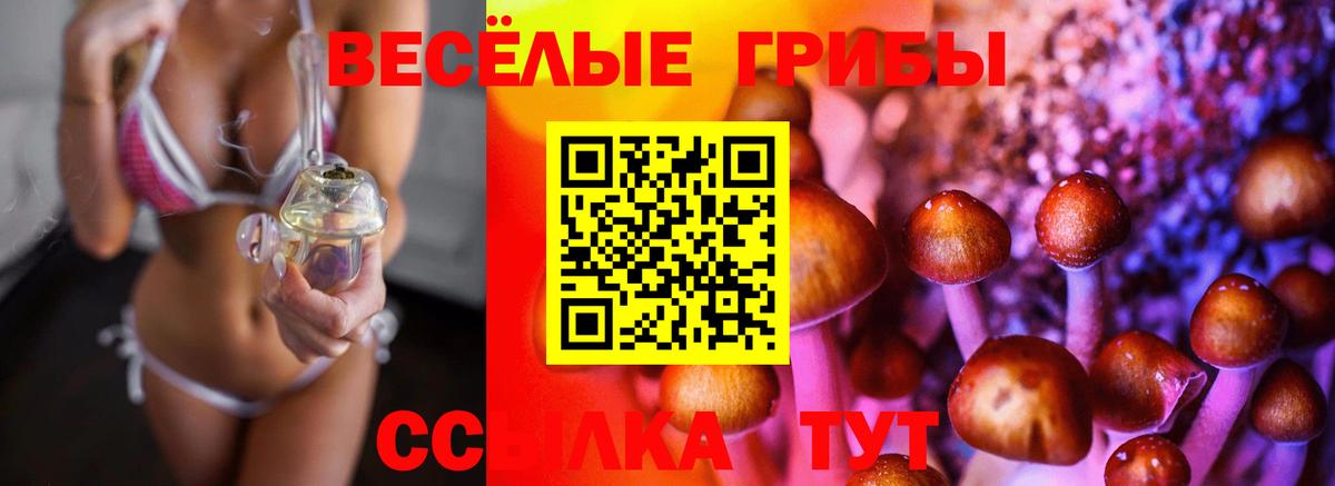 Псилоцибиновые грибы GOLDEN TEACHER  Вход с VPN  Богданович 